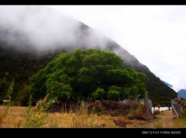 查看照片详细信息 天下民宿