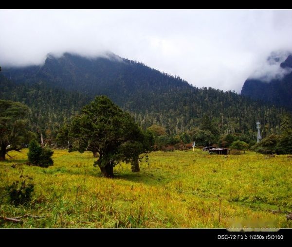 查看照片详细信息 天下民宿