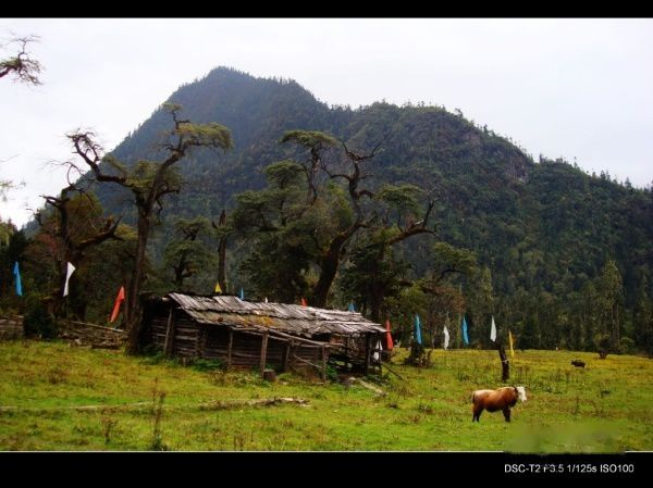 查看照片详细信息 天下民宿