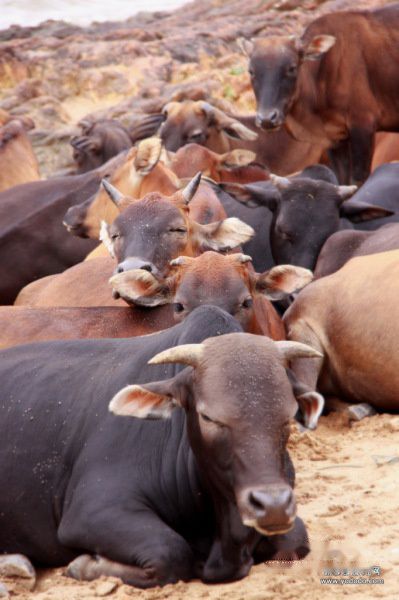查看照片详细信息 天下民宿