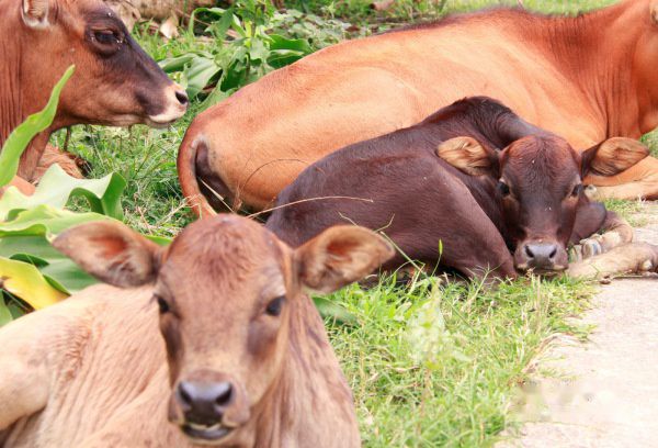 查看照片详细信息 天下民宿