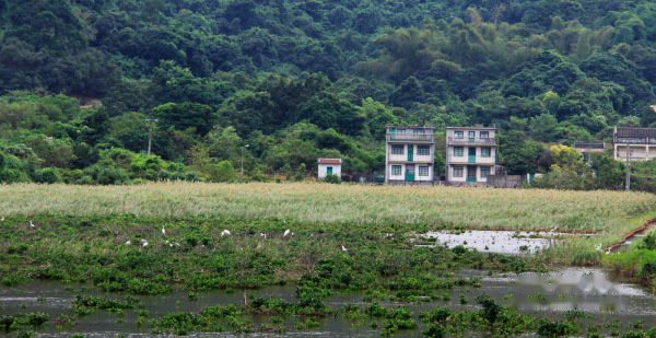 查看照片详细信息 天下民宿