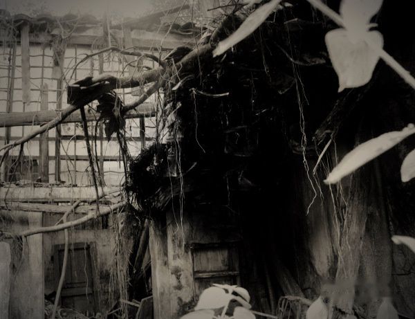 查看照片详细信息 天下民宿