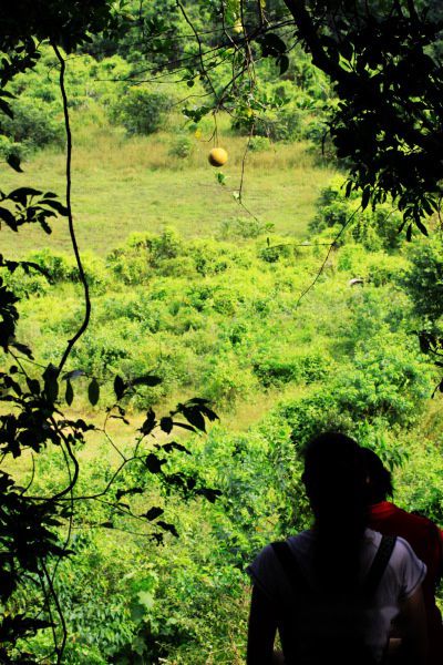 查看照片详细信息 天下民宿