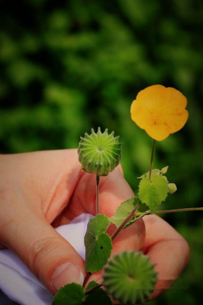 查看照片详细信息 天下民宿