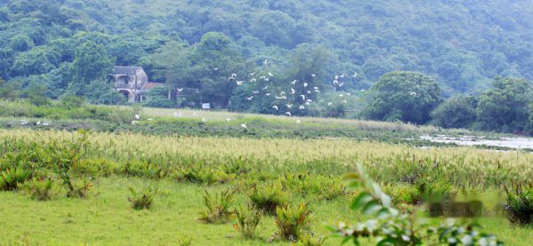 查看照片详细信息 天下民宿