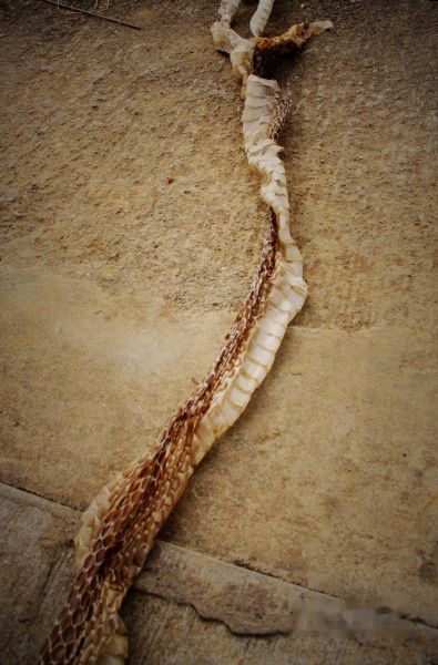 查看照片详细信息 天下民宿