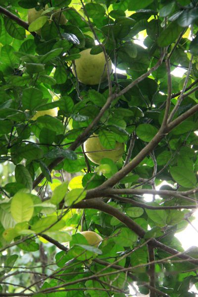 查看照片详细信息 天下民宿