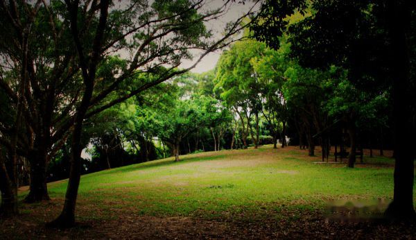 查看照片详细信息 天下民宿