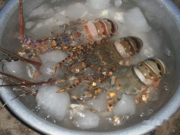 查看照片详细信息 天下民宿