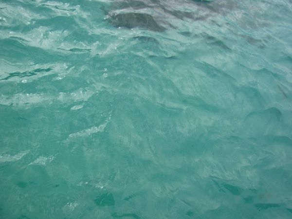 查看照片详细信息 天下民宿