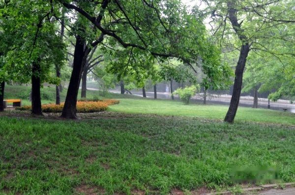 查看照片详细信息 天下民宿