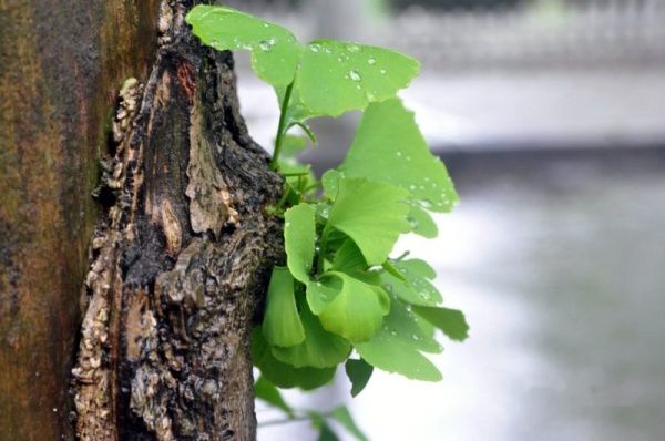 查看照片详细信息 天下民宿
