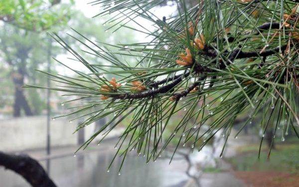 查看照片详细信息 天下民宿