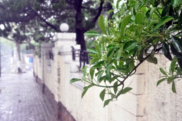 查看照片详细信息 天下民宿