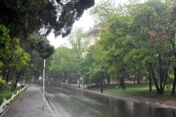 查看照片详细信息 天下民宿