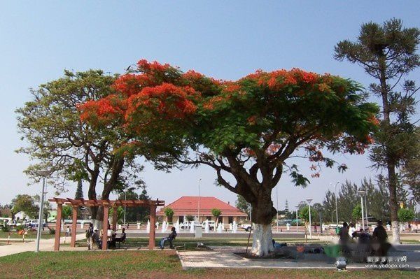 查看照片详细信息 天下民宿