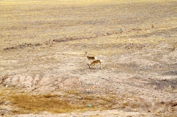 查看照片详细信息 天下民宿