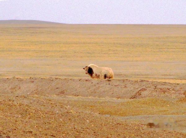查看照片详细信息 天下民宿