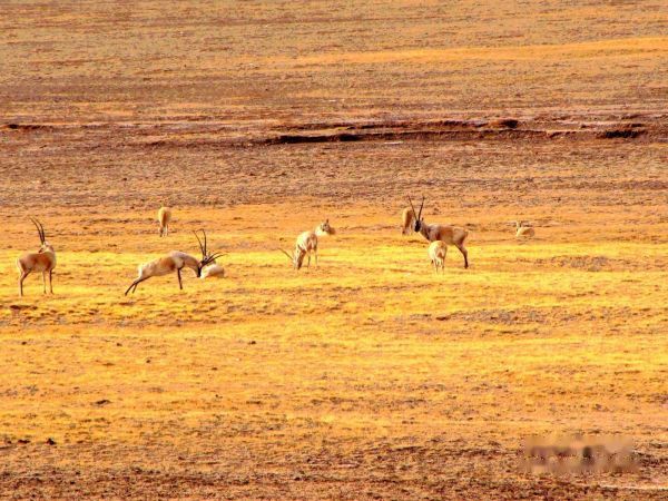 查看照片详细信息 天下民宿