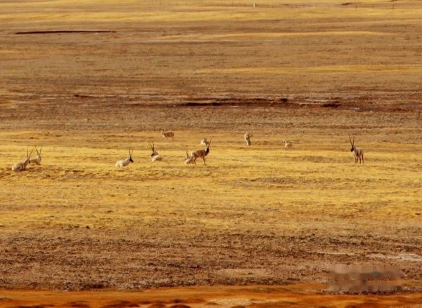 查看照片详细信息 天下民宿