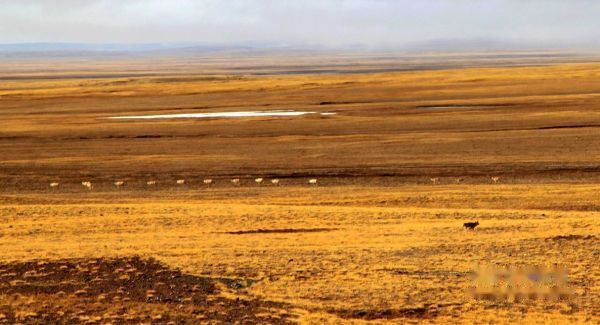 查看照片详细信息 天下民宿