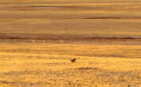 查看照片详细信息 天下民宿