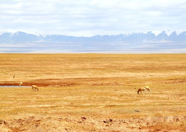 查看照片详细信息 天下民宿