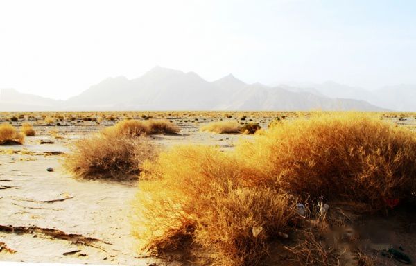 查看照片详细信息 天下民宿