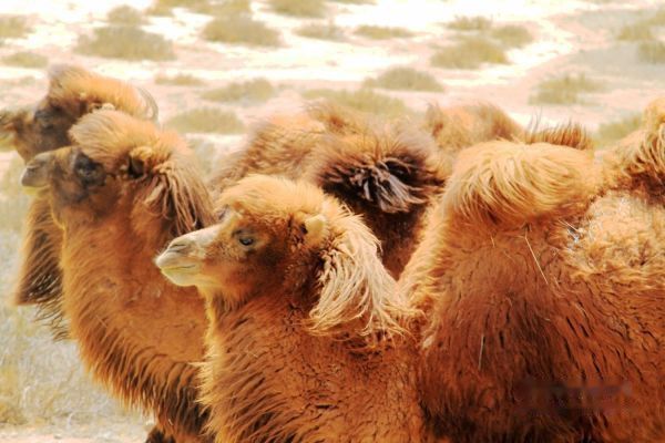 查看照片详细信息 天下民宿