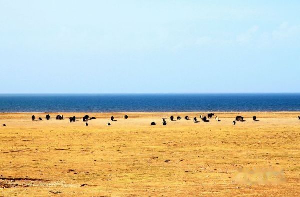 查看照片详细信息 天下民宿