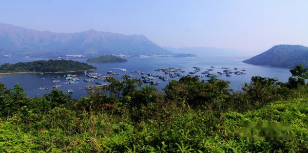 查看照片详细信息 天下民宿