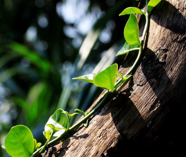 查看照片详细信息 天下民宿