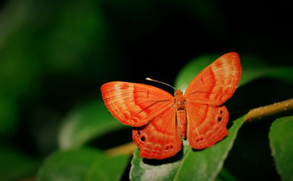 查看照片详细信息 天下民宿
