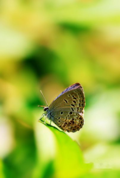 查看照片详细信息 天下民宿