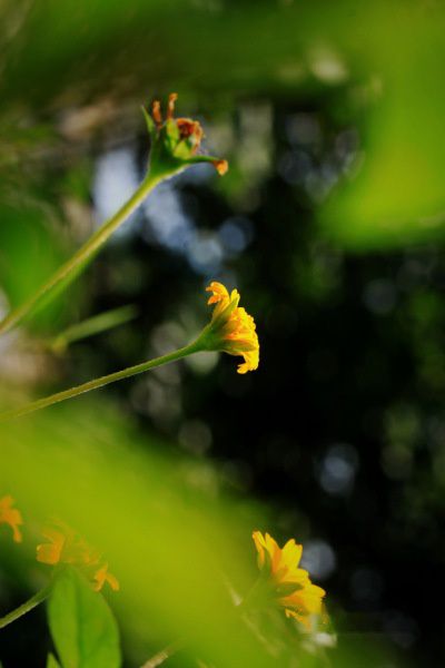查看照片详细信息 天下民宿