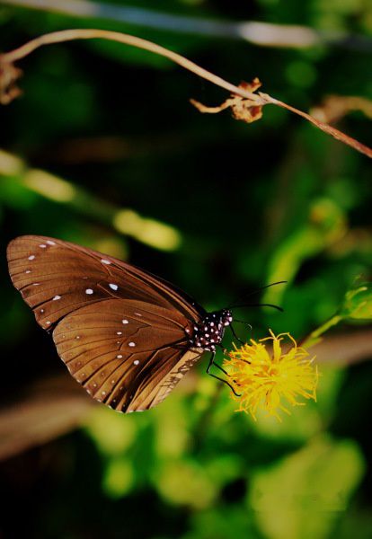 查看照片详细信息 天下民宿
