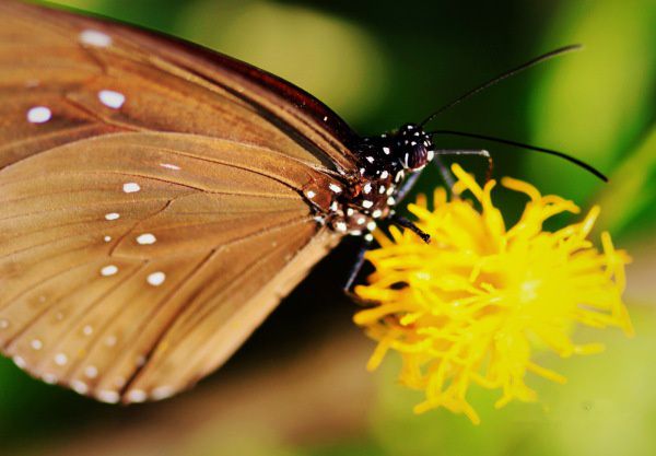 查看照片详细信息 天下民宿