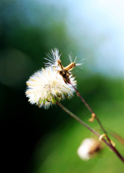 查看照片详细信息 天下民宿