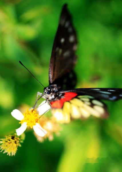 查看照片详细信息 天下民宿