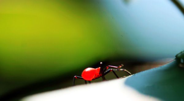 查看照片详细信息 天下民宿