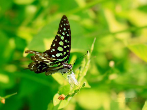 查看照片详细信息 天下民宿