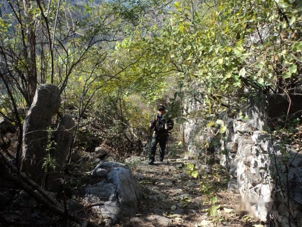 查看照片详细信息 天下民宿