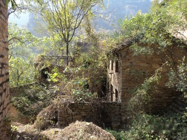 查看照片详细信息 天下民宿