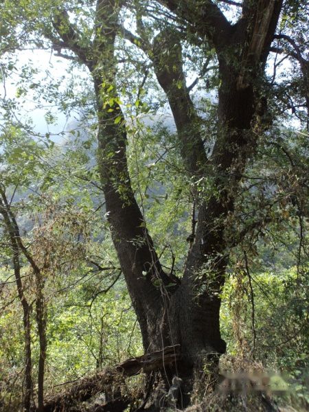 查看照片详细信息 天下民宿