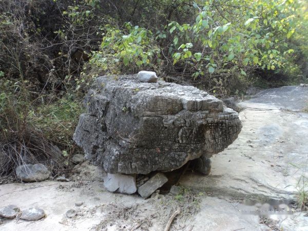 查看照片详细信息 天下民宿
