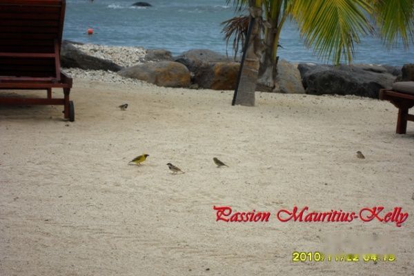 查看照片详细信息 天下民宿