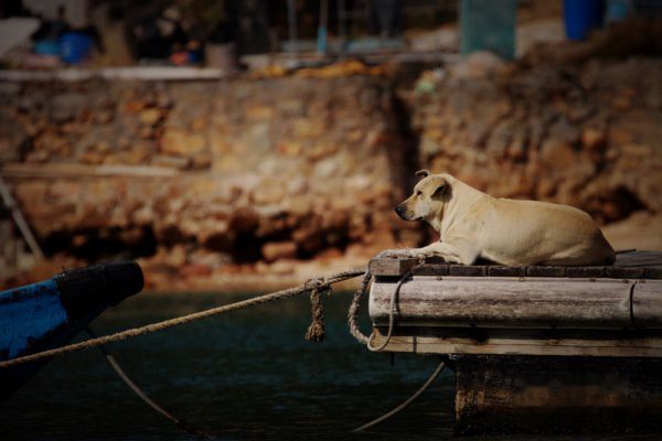 查看照片详细信息 天下民宿