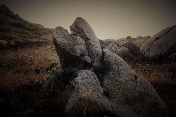 查看照片详细信息 天下民宿