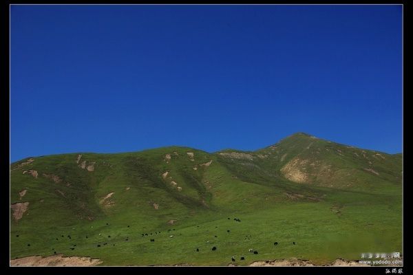 查看照片详细信息 天下民宿